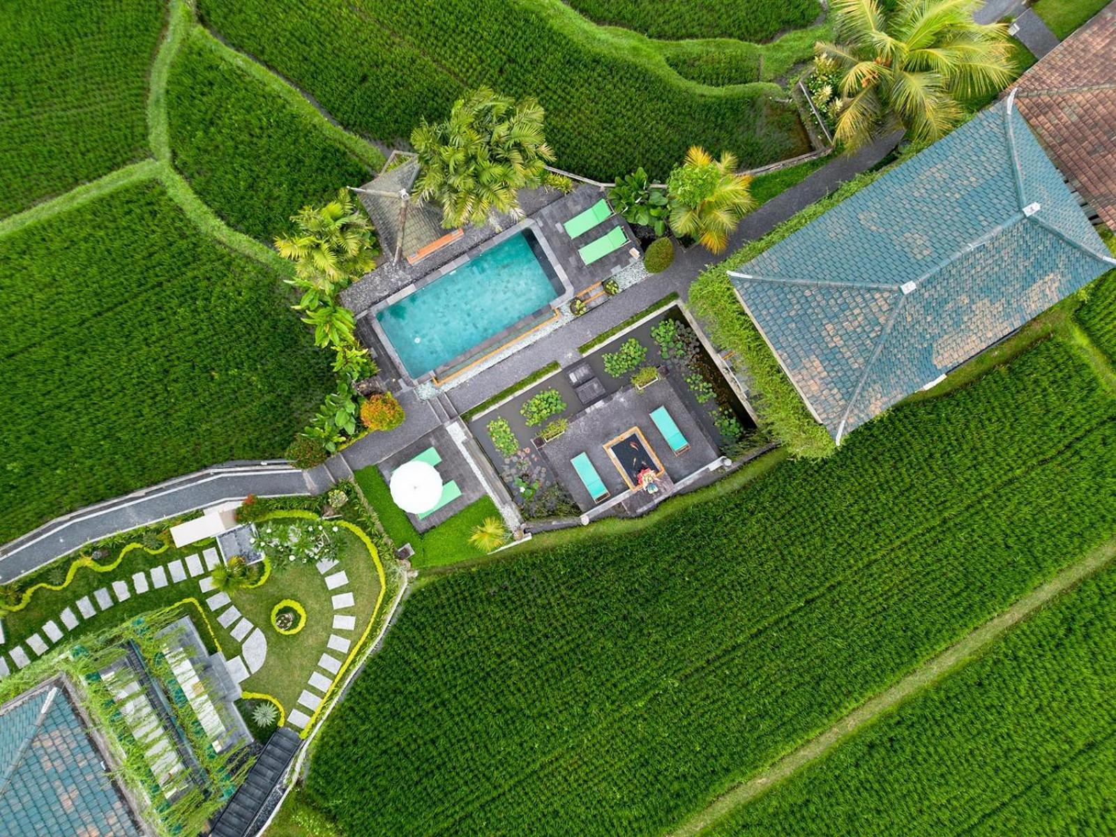 Cahaya Ubud Villa Exterior photo